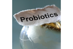 Image NI probiotics world